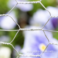 Galvanized Chicken Wire Hex Poultry Netting Roll Fencing
